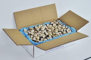 Carne de almeja blanca congelada lista para usar, ingrediente para procesamiento de alimentos y catering - Product Image 6