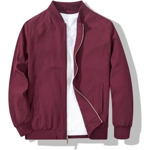 <b>Men's</b> Gray Bomber <b>Jacket</b> Windproof Casual Zipper Stand Collar Polyester Outerwear Autumn Wear - Product Image 2