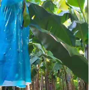 Cubierta Reutilizable Ecológica de Plástico PP No Tejido para Frutas, Protege Bananas, Tomates y Jardines de Invierno - Product Image 6