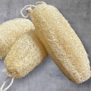 Natural Dried Loofah <b>Bath</b> Sponge Long Exfoliating Body <b>Scrubber</b> for Adults Plain Style with Rope Handle Best Price for Wholesale - Product Image 3