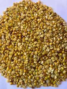 Toor Dal Biologique Séché de Qualité Supérieure 30Kg – Vrac – Valeur Nutritionnelle Naturelle – Cuisine Saine – Fournisseur Indien de Légumineuses - Product Image 4