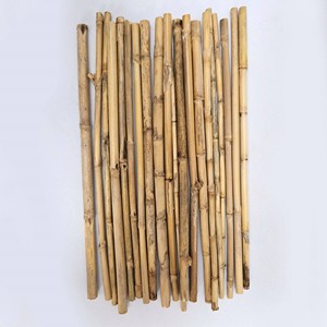 Best choice high quality tonkin bamboo cane <b>pole</b> <b>for</b> sales Vietnam producer sustainable raw stakes - Product Image 1