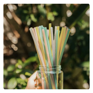 หลอดข้าวย่อยสลายได้เป็นมิตรต่อสิ่งแวดล้อม - Product Image 1