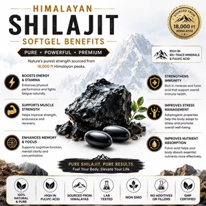 Shilajit 100% naturel en gélules souples, 60 capsules, best-seller, marque privée, gélules de Shilajit pour soutenir l'énergie et l'endurance chez les hommes - Product Image 5