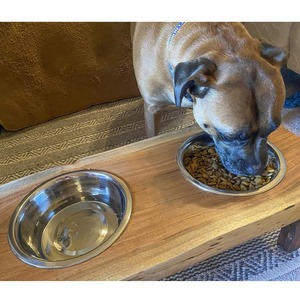 Gamelle moderne en bois pour chien, station de repas élégante et surélevée pour animaux de compagnie, idéale pour la maison, la cuisine et les espaces intérieurs. - Product Image 2
