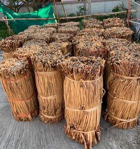 Tapis en jacinthe d'eau naturelle faits à la main, export en gros - Product Image 2