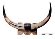 Juego de Cuernos de Toro Montados, Ecológicos, Hechos a Mano, Rústicos, Modernos, con Diseño Animal, Cuernos Pulidos, Decoración del Hogar Estilo Western, Pascua - Product Image 3