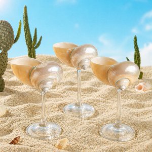 Verres à shot en coquillages naturels pour le whisky et le vin, vente en gros, pour les amateurs de plage - Product Image 3