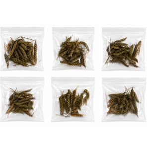 AQUA VRIKSHA Cápsulas de Agua Natural para Acuarios, Peceras de Betta, Peceras de Camarones y Acuapaisajismo |   Paquete de 500 - Product Image 1