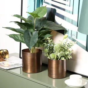 Handmade <b>Unique</b> Coastal Eco-Friendly Iron Planter for Home Decoration Stylish Indoor Tabletop Flower <b>Vase</b> - Product Image 2