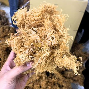 ราคาถูกที่สุด สาหร่ายทะเลออร์แกนิค 100% คุณภาพสูง สาหร่ายโกลด์/ไอริชมอส/สาหร่ายทะเลแห้งจากธรรมชาติ จากฟาร์มโอเชียน ทาคิเม็กซ์ - Product Image 4