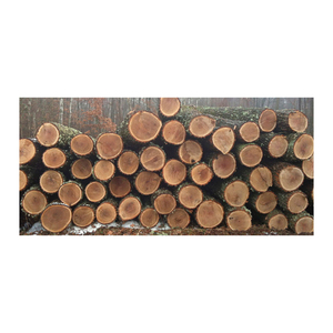 Troncos de madera de roble ofrecidos a precio de descuento para la producción de pisos, muebles y chapa de madera. - Product Image 5