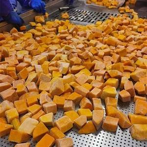 LOW MOQ Best Price IQF Frozen Pumpkin Diced Vietnam Factory Supply Bulk Frozen Pumpkin Cubes - <b>Ms</b>.Tarina - Product Image 2