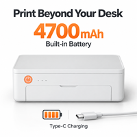 Imprimante photo portable de poche AiYin Z11 Mini couleur USB en plastique 6 pouces 300 DPI par sublimation thermique avec batterie intégrée pour la maison