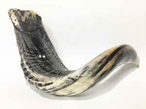 Shofar de Cuerno de Carnero Grande Hecho a Mano, Trompeta de Ágata con Sonido Profundo Natural, Estilo Religioso, Hecho a Mano en India - Product Image 4
