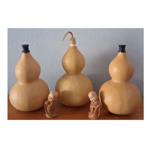 Bouteille en calebasse séchée pure de qualité supérieure, récipient sûr pour l'eau potable, accent de table artistique, artisanat de haute qualité, exporté - Product Image 4