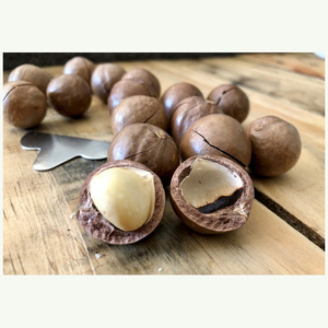 แมคคาเดเมียออร์แกนิกแบบดิบขายส่ง - Product Image 6