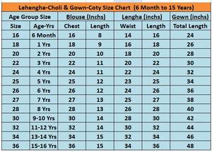 Robe de princesse royale festive Leheriya avec chemisier brodé Maggam - Product Image 6