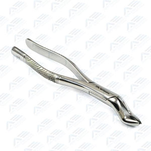 Dental Surgical Instrument <b>Tooth</b> Extraction Forceps with Customized Packaging Premium Quality Manual Stainless Steel - Product Image 3