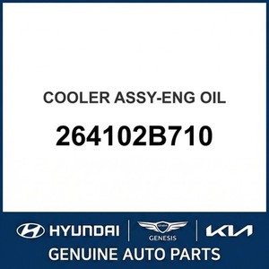 Pièces et accessoires automobiles et camionnettes Veloster neuves 264102B710 - Product Image 1