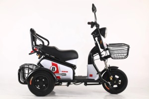 Tricycle électrique familial compact avec moteur 600W, contrôleur 9 tubes et batterie au plomb - Product Image 2