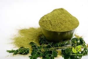Polvo de Hoja de Moringa Orgánico para Suministro de Productos Naturales, Polvo Fino de Hoja Verde para Aplicaciones Alimentarias y de Bebidas - Product Image 3