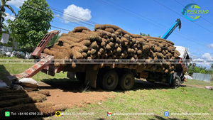 Log de coco biodégradable pour le contrôle durable de l'érosion et la croissance de la végétation sur les pentes - Product Image 5