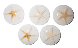 ปลาดาวแท้ พลาสติกคาโบชองทรงกลม 38x38 มม. สีขาว ฐานแบน สำหรับงานฝีมือและทำเครื่องประดับ - Product Image 2