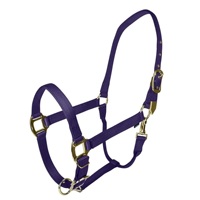 En gros, Mini-voile en nylon pour cheval miniature, réglable, avec ferrures en laiton de qualité supérieure, pour l'entraînement, OEM