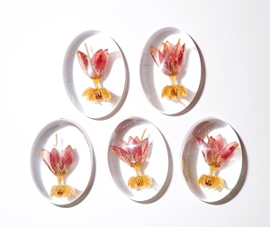 Cabujón de Plástico Transparente con Forma Ovalada de Flor de Milkweed Tropical, 18x25 mm, Base Plana para Manualidades y Joyería - Product Image 1