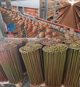 350Mm 500Mm 750Mm Trung Quốc Nhà Máy Nhà Sản Xuất Trứng Thu Thập Dòng Chuỗi Gà Trứng Băng Tải Thiết Bị - Product Image 3