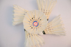 Vina-Star Bulk Training Grade Shuttlecock with Class D Duck Feather and Durable Wood Cork for Club School Sport Practice - Product Image 6