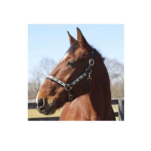 Licol de cheval de style occidental en cuir hybride de qualité supérieure, durable, couleur or rose/brun/noir, personnalisable en couleur et en taille, équestre - Product Image 6