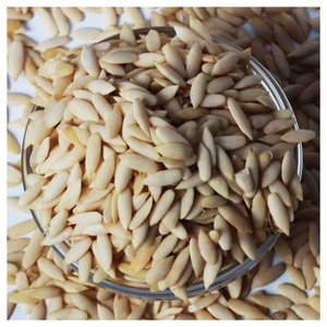 Semillas de sandía natural para agricultura y usos múltiples, precios bajos en venta - Product Image 1