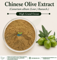 Extrait d'olive chinois (Canarium album (Lour.)) fourni directement par l'usine HGO Raeusch.) (De qualité alimentaire) 4:1 5:1 10:1 20:1 100:1 200:1