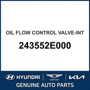 Válvulas Nuevas para Elantra 243552E000 - Product Image 1