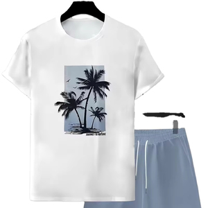 Conjunto Deportivo Personalizado de Alta Calidad para Hombre, Ropa Casual de Verano, Ropa de Playa, Servicio OEM al por Mayor, Camiseta y Pantalones Cortos de Verano - Product Image 2