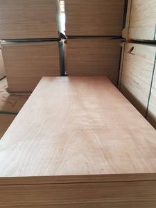 Bintangor/Okoume con núcleo de Acacia / Madera dura E2 5-24mm superficie lisa - Product Image 3