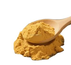 Poudre de gingembre pour la transformation alimentaire, par le fournisseur au meilleur prix, poudre de gingembre naturelle pour l'industrie de la pâtisserie - Product Image 1