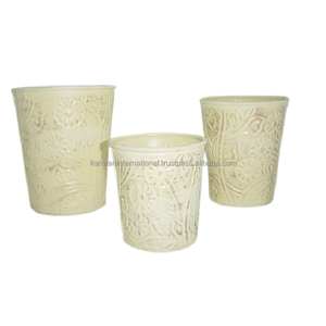 Top Designer Arrosoir-1 Gallon Argent Métal Arrosoir Haute Vente pour Plantes D'intérieur Jardin Plantes Arrosage Spray - Product Image 3