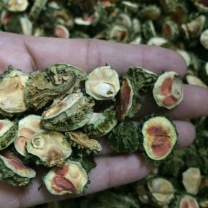 Melon Amer Séché de Qualité Supérieure du Vietnam – Tranches de Melon Amer Déshydraté en Gros – Offres de Melon Amer Séché en Vrac à Expédier - Product Image 4