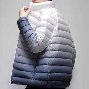 Wholesale <b>Top</b> Quality Custom Logo Nylon Winter Quilted Jacket <b>Bubble</b> Coat Men Puffer Jacket New Design Reasonable Price OEM - Product Image 2