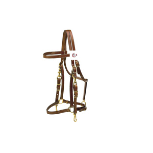 Brida Halter de cuero de caballo de alta calidad, combinación de brida de prueba con ajuste de latón - Product Image 1