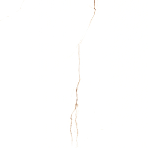 BALEARIC BROWN 800x1600mm Modern Glossy-Surface Porcelain Tiles for Kitchen & Swimming Pool - Product Image 1