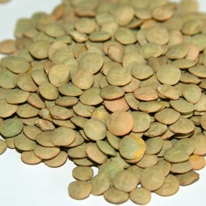 Lentilles vertes de haute qualité, lentilles séchées soigneusement sélectionnées pour l'emballage de détail et l'industrie alimentaire, service OEM - Product Image 1