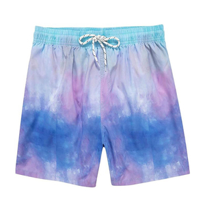 Shorts de bain pour hommes à taille élastique, séchage rapide, pour la plage et la natation, légers, pour l'été - Product Image 1
