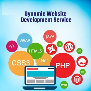 Conception responsive de qualité supérieure pour toutes les tailles d'écran, services de site Web dynamique, système de connexion utilisateur, panneau d'administration, pages optimisées pour le référencement - Product Image 3