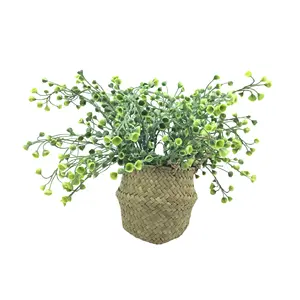 Factory Direct Pe Lichtgroen Kunstmatige Mini Plant Knop Fern Verschillende Kleuren In Manden Gift Zeegras Eclectische Patio