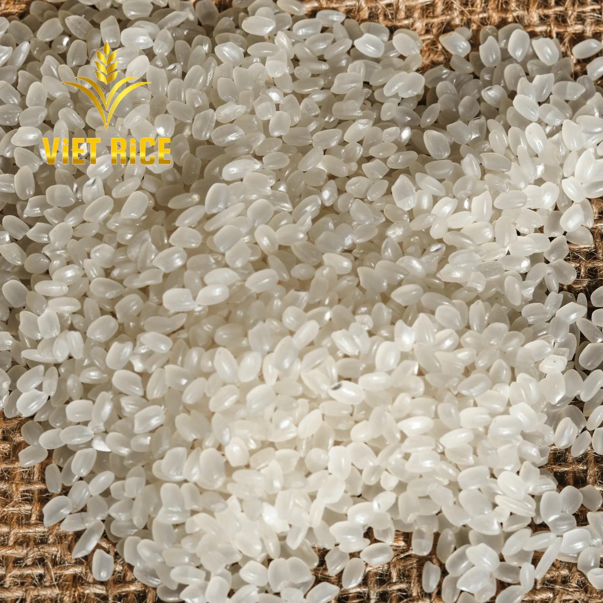 Japonica 5% beras putih gandum pendek rusak pilihan terbaik untuk membuat sushi yang disediakan oleh VIETRICE atas produsen di VIETNAM