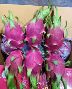 Dragon <span class=keywords><strong>fruit</strong></span> blanc naturel frais, qualité export standard OEM, goût doux et rafraîchissant, 100% ODM - Product Image 1